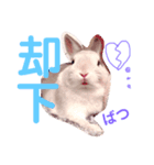 こっちゃんとむったん（個別スタンプ：4）
