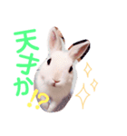 こっちゃんとむったん（個別スタンプ：7）