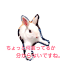 こっちゃんとむったん（個別スタンプ：8）