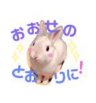 こっちゃんとむったん（個別スタンプ：9）