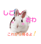 こっちゃんとむったん（個別スタンプ：10）
