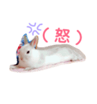 こっちゃんとむったん（個別スタンプ：12）