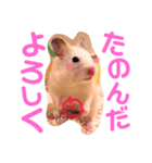 こっちゃんとむったん（個別スタンプ：14）
