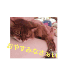 まちゅこ（個別スタンプ：2）