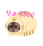 まちゅこ（個別スタンプ：8）