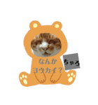 ネコにゃんすたんぷ（個別スタンプ：6）