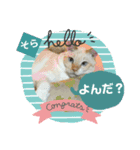 ネコにゃんすたんぷ（個別スタンプ：8）