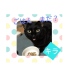 ネコにゃんすたんぷ（個別スタンプ：9）