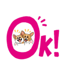 コーギー かえで（個別スタンプ：1）