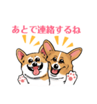 コーギー かえで（個別スタンプ：9）