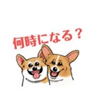 コーギー かえで（個別スタンプ：12）