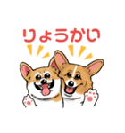 コーギー かえで（個別スタンプ：15）