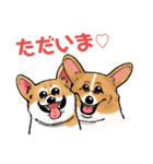 コーギー かえで（個別スタンプ：19）