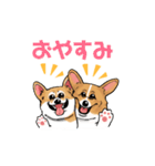 コーギー かえで（個別スタンプ：22）