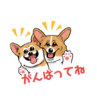 コーギー かえで（個別スタンプ：23）
