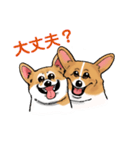 コーギー かえで（個別スタンプ：25）