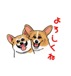 コーギー かえで（個別スタンプ：26）