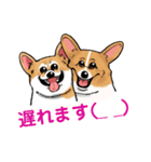コーギー かえで（個別スタンプ：28）