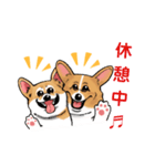 コーギー かえで（個別スタンプ：29）