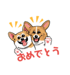 コーギー かえで（個別スタンプ：34）