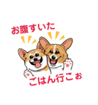 コーギー かえで（個別スタンプ：36）