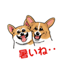 コーギー かえで（個別スタンプ：38）