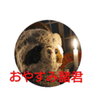 あらいぐまのラッキー（個別スタンプ：1）