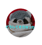 あらいぐまのラッキー（個別スタンプ：10）