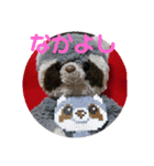 あらいぐまのラッキー（個別スタンプ：12）