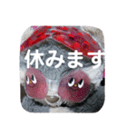 あらいぐまのラッキー（個別スタンプ：16）