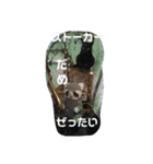 あらいぐまのラッキー（個別スタンプ：18）