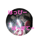 あらいぐまのラッキー（個別スタンプ：19）