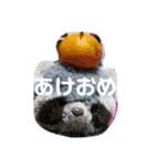 あらいぐまのラッキー（個別スタンプ：20）