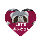 あらいぐまのラッキー（個別スタンプ：25）