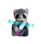 あらいぐまのラッキー（個別スタンプ：27）