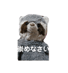 あらいぐまのラッキー（個別スタンプ：28）