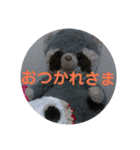 あらいぐまのラッキー（個別スタンプ：29）