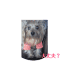 pretty Rio part①（個別スタンプ：5）