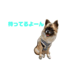 リブ子スタンプ（個別スタンプ：5）