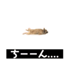 リブ子スタンプ（個別スタンプ：7）