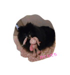 チビ愛すべき天使！（個別スタンプ：1）