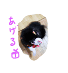 チビ愛すべき天使！（個別スタンプ：9）