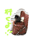 チビ愛すべき天使！（個別スタンプ：15）