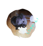 チビ愛すべき天使！（個別スタンプ：17）
