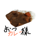 やっぱり俺たちカレーやネ（個別スタンプ：1）