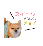 ミニ柴むぎちゃん（個別スタンプ：18）