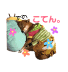 ミニ柴むぎちゃん（個別スタンプ：21）