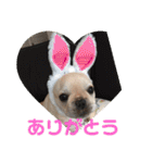 M.S.YブヒブヒスタンプP2（個別スタンプ：6）