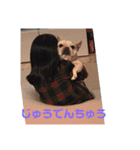 M.S.YブヒブヒスタンプP2（個別スタンプ：24）
