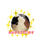 unauna2018（個別スタンプ：21）